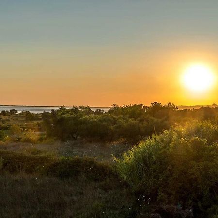 Villa Nissos Línia エクステリア 写真