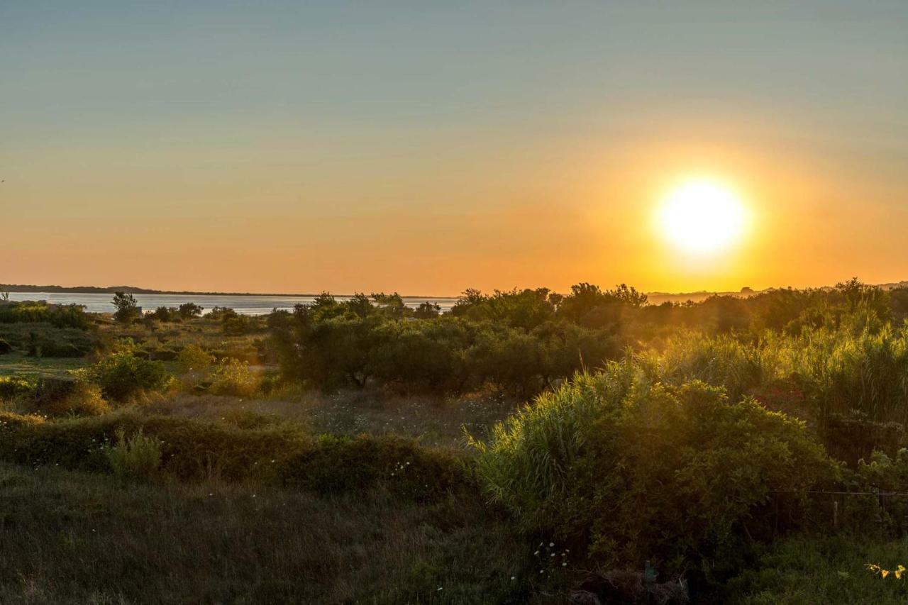 Villa Nissos Línia エクステリア 写真